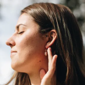 Rose Gold Acorn Earrings